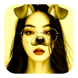 Dog 2014