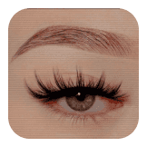 ROSE LINE EYELASHES