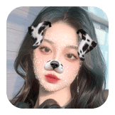 Blink Dog Freeze