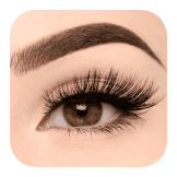 Top Volume Lashes