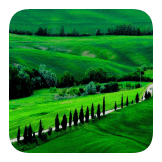Natural green