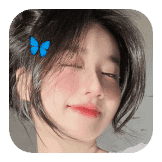 blue butterfly
