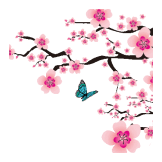 sakura