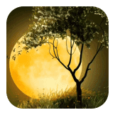 Moon foryou 5B
