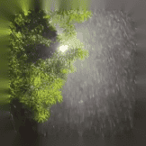 Rain Effect
