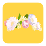 flower crown 2