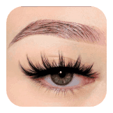 No 1 Volume Lashes