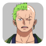 Hair Transplant Zoro