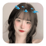 Blue Bird crwn