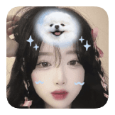 CutePuppy
