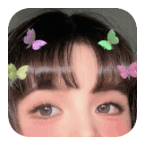Butterfly Hairclip M02