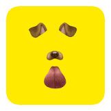 Dog filter 2016