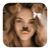 Glitter dog
