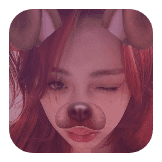 2016 dog.