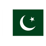 Paint Flag