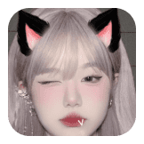 cat babyy