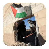 Palestine wall game