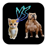 Cats Vs Dog v3