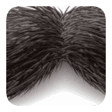 Disguise 2