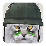Commando Cat