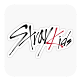 your Stray Kids twin