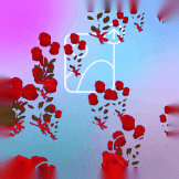 Flying roses photo