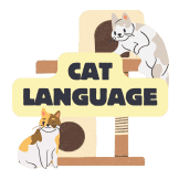 Cat LANGUAGE