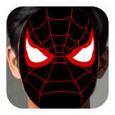 spider mylles