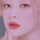 FILTER.CO 36