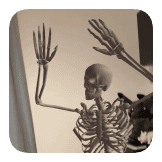 Dancing Skeleton