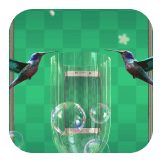 Photo Phone Bird
