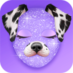 Bling Dog