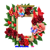 my frame