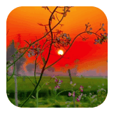 #Pind Foryou