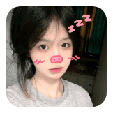 lợn hồng cre : xingtu