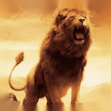 The Lion King