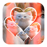 Love Story