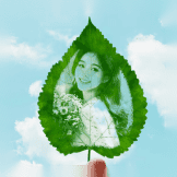 Leaf Engraved