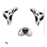сабака