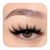Volume Lashes