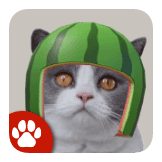 Melon Head