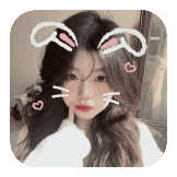 cute rabbit V5