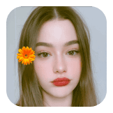Orange Daisy 2