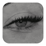 BW Line Lashes