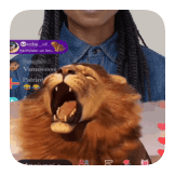 Lion Live   By Roby