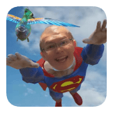 Superman And The Bird