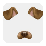 dog♡