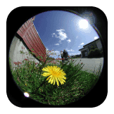 Fisheye Lenses
