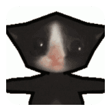 Cat mem spin