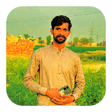 mehar aqib